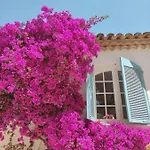 Luxury Family With Large Pool, Garden & Outdoor Dining Near Beach, Domaine L'oiseau Bleu In ヴィラ サント・マキシム
