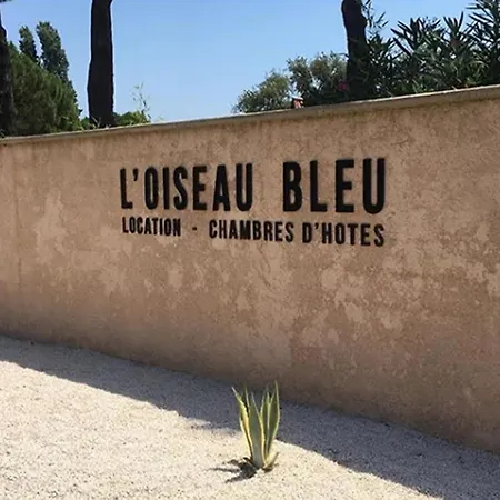 Luxury Family With Large Pool, Garden & Outdoor Dining Near Beach, Domaine L'oiseau Bleu In Sainte-Maxime