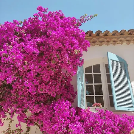 Luxury Family With Large Pool, Garden & Outdoor Dining Near Beach, Domaine L'oiseau Bleu In Villa Sainte-Maxime
