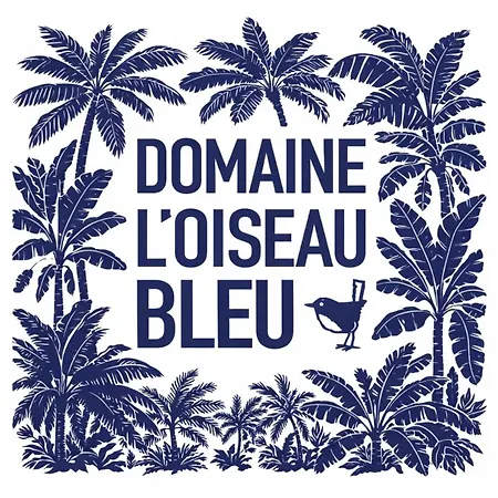 Domaine L'oiseau Bleu, 800 M From The In Villa