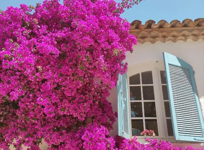 Luxury Family Villa With Large Pool, Garden & Outdoor Dining Near Beach, Domaine L'Oiseau Bleu In Sainte-Maxime Вилла Сент-Максим