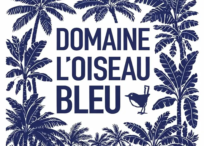 Domaine L'oiseau Bleu, 800 M From The In Βίλα